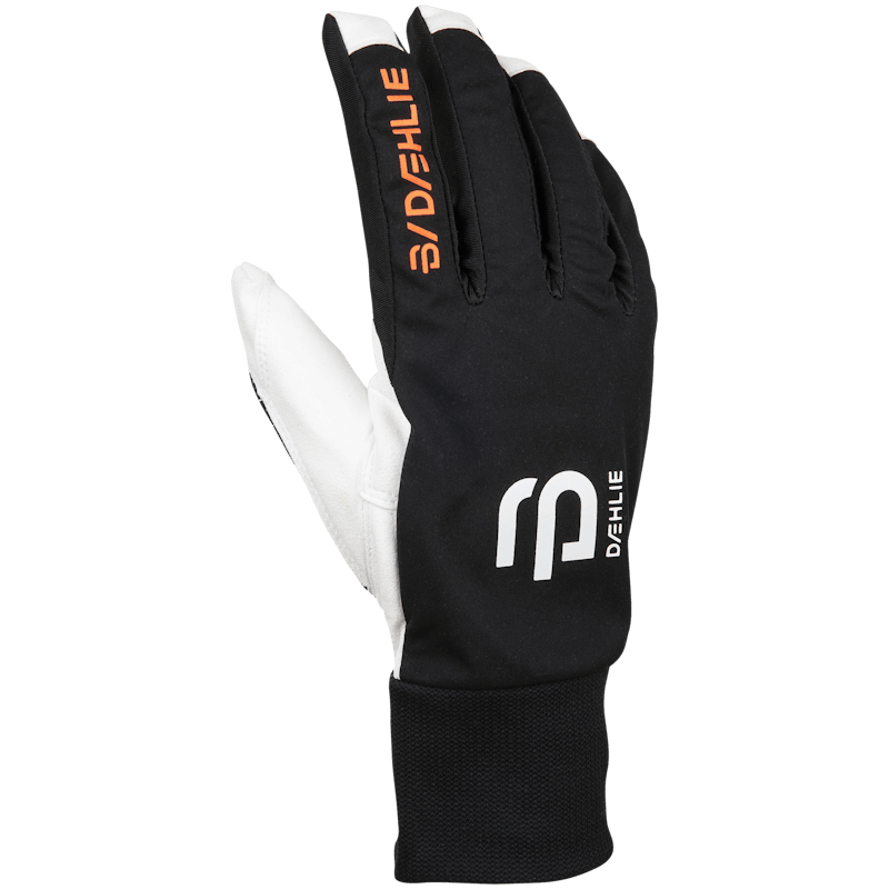 Load image into Gallery viewer, Bjorn Daehlie Glove Race Synthetic
