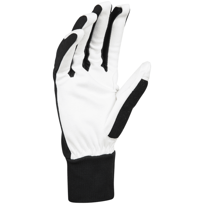 Load image into Gallery viewer, Bjorn Daehlie Glove Race Synthetic
