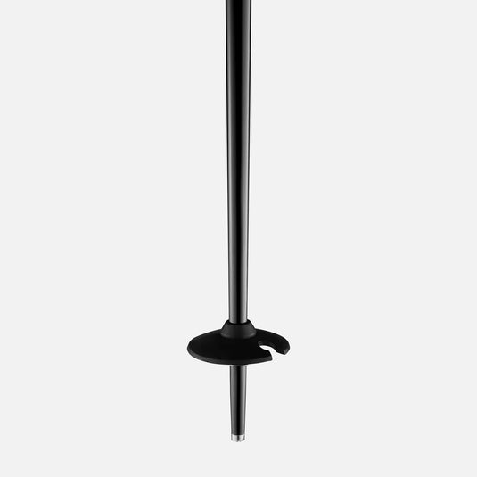 Faction Prodigy Ski Poles