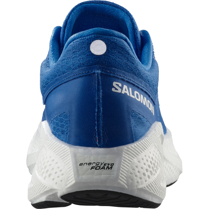 Load image into Gallery viewer, Salomon Men's Aero Glide 3