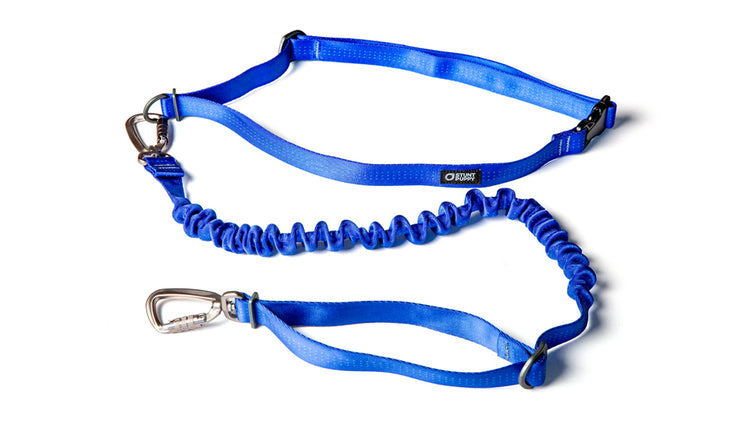 Load image into Gallery viewer, Stunt Puppy Stunt Runner™ Leash