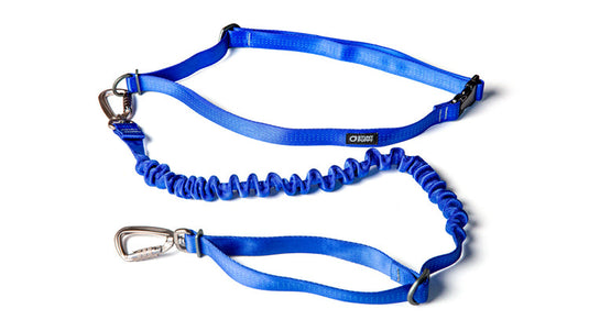 Stunt Puppy Stunt Runner™ Leash