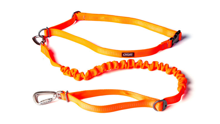 Load image into Gallery viewer, Stunt Puppy Stunt Runner™ Leash
