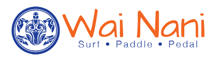 Stand-Up Paddleboards and Rentals at the Beach