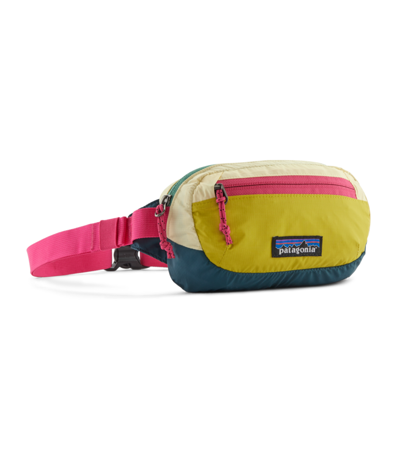 Load image into Gallery viewer, Patagonia Terravia Mini Hip Pack