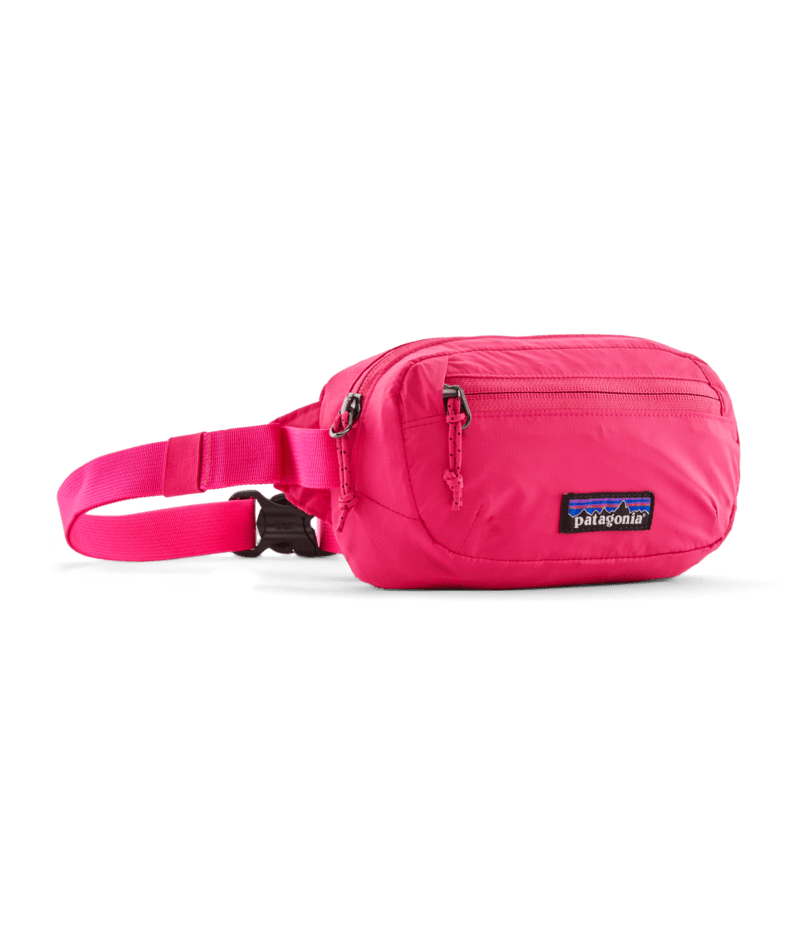 Load image into Gallery viewer, Patagonia Terravia Mini Hip Pack