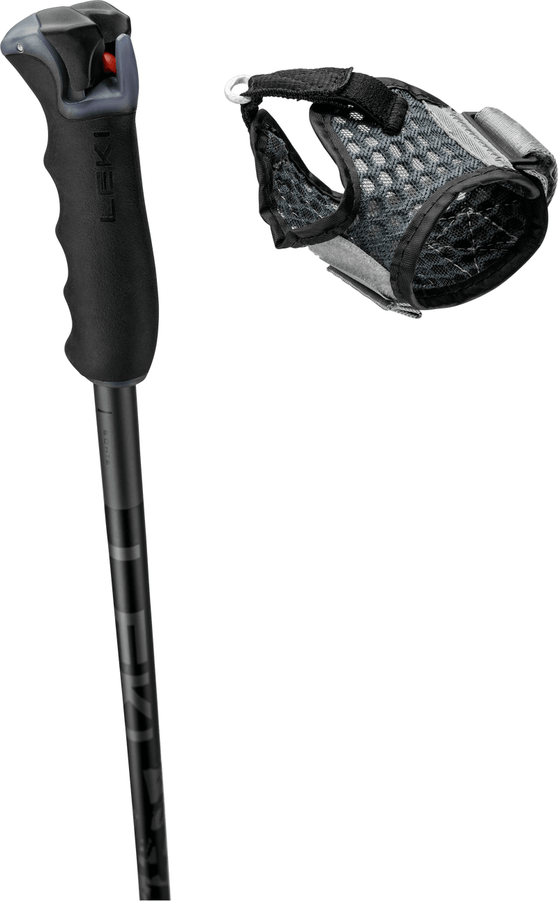 Load image into Gallery viewer, Leki Detect S Ski Pole - Gear West