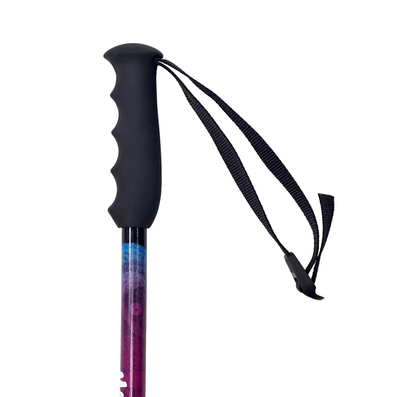 Load image into Gallery viewer, Moment Ashburn Ski Pole