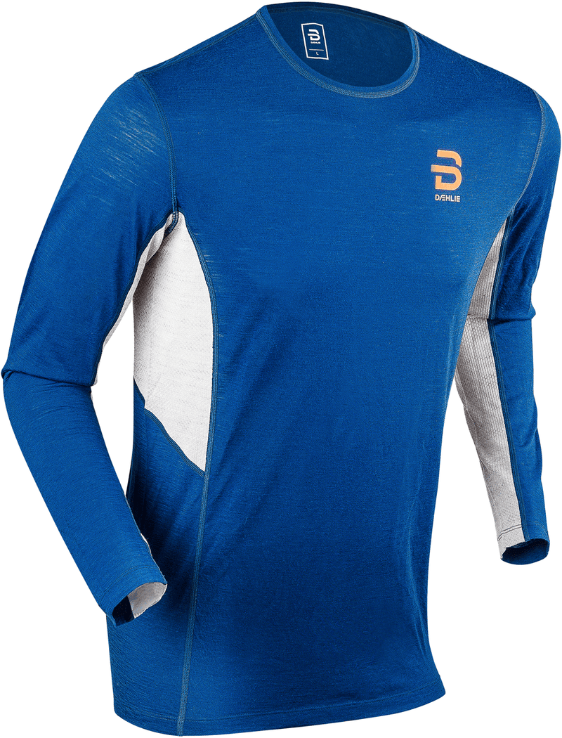 Load image into Gallery viewer, Bjorn Daehlie Men&#39;s Training Wool Long Sleeve - Gear West
