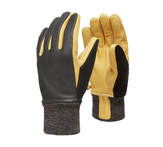 Black Diamond Dirt Bag Gloves in Black - Gear West