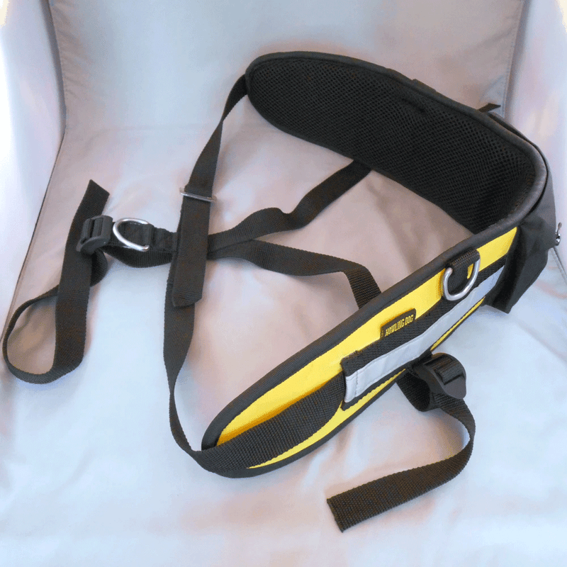 Load image into Gallery viewer, Howlin Dog Alaska Caniski Belt - Gear West