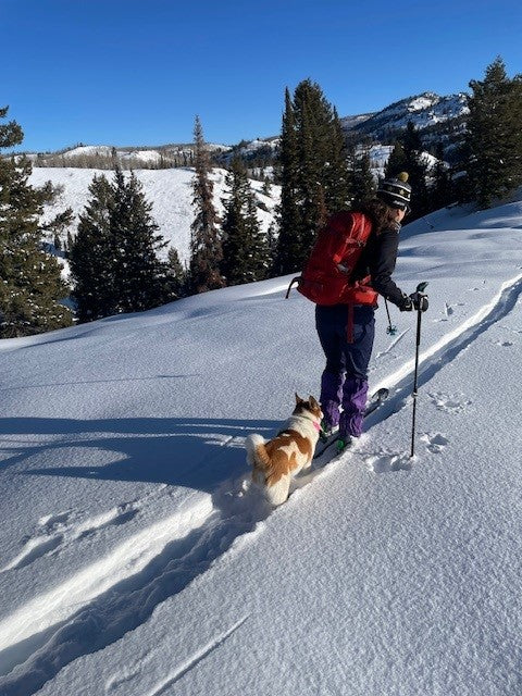 Jan’s Grand Traverse Experience