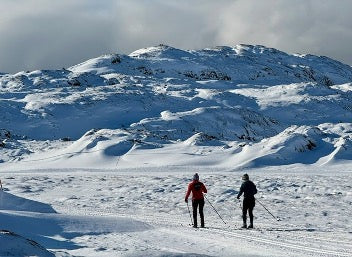 Expand Your XC-Ski Experience: Greenland’s Arctic Circle Race