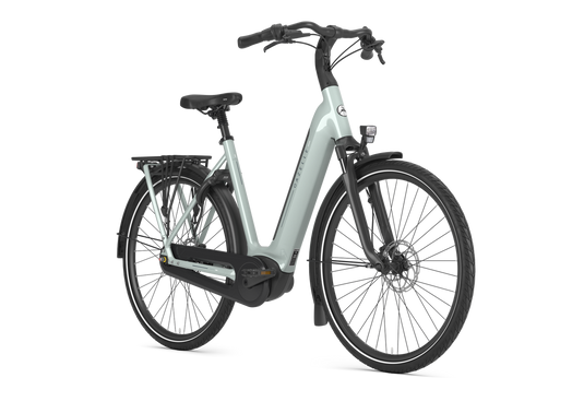 Gazelle Arroyo C8 Elite