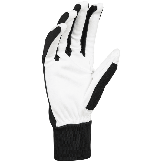 daehlie handschuhe Bjorn Daehlie Glove Race Synthetic, Black / 10