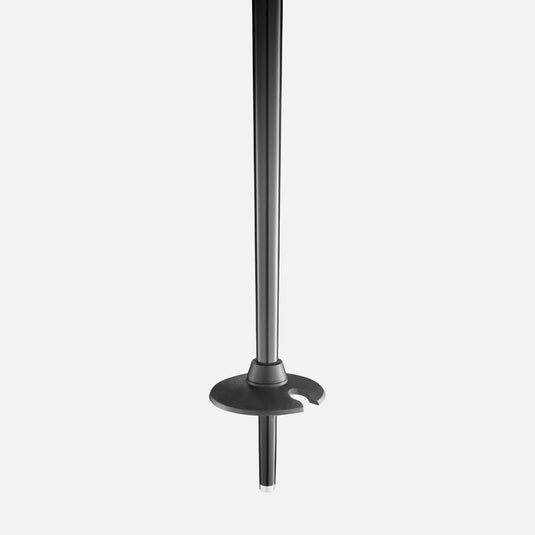 Faction Prodigy Jr. Ski Pole 2027