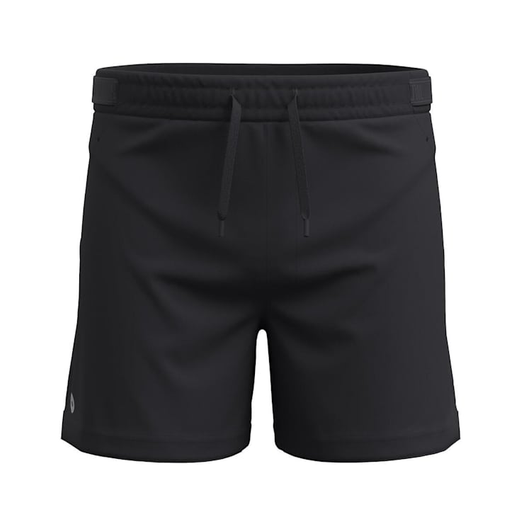 Load image into Gallery viewer, Smartwool Men&#39;s Active Lined 5&quot; Short
