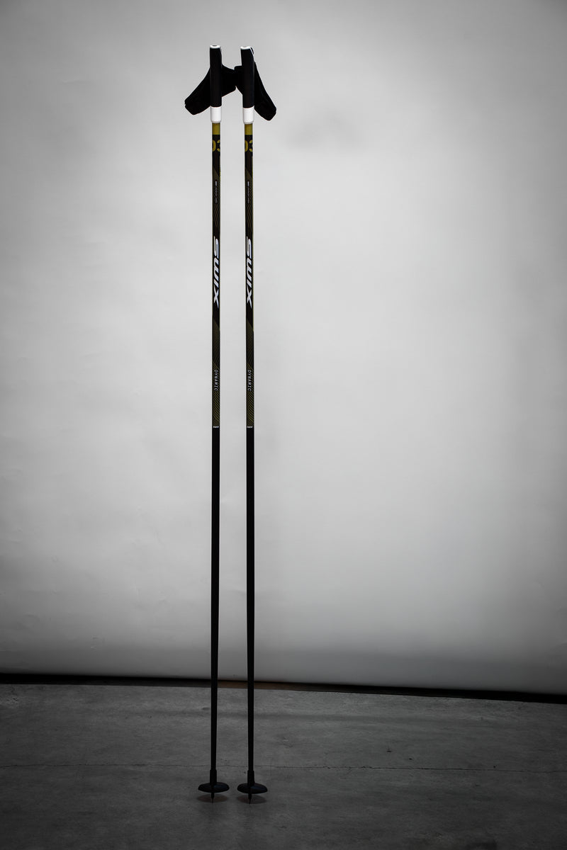 Load image into Gallery viewer, Swix Dynamic D3 Pole
