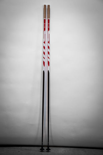 red and black swix ski pole