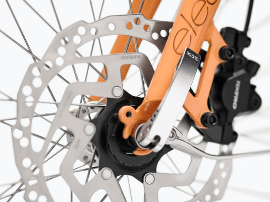 Electra Townie Go! 5i EQ Step-Thru