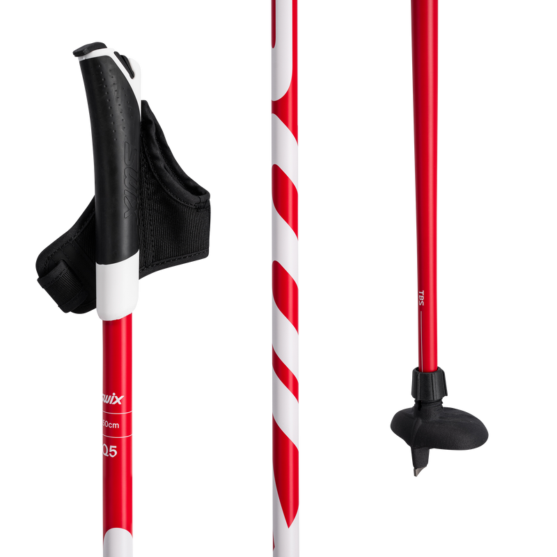 Load image into Gallery viewer, Swix Quantum Q5 Pole
