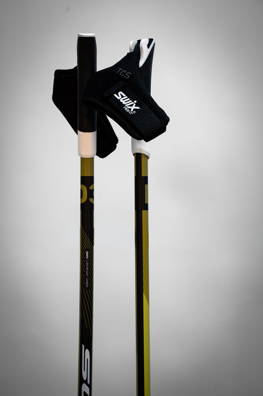 Swix Dynamic D3 Pole