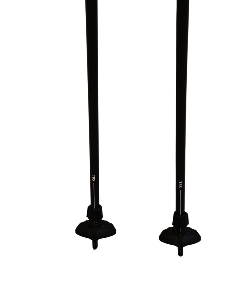 Load image into Gallery viewer, Swix Triac 5.0 Pole
