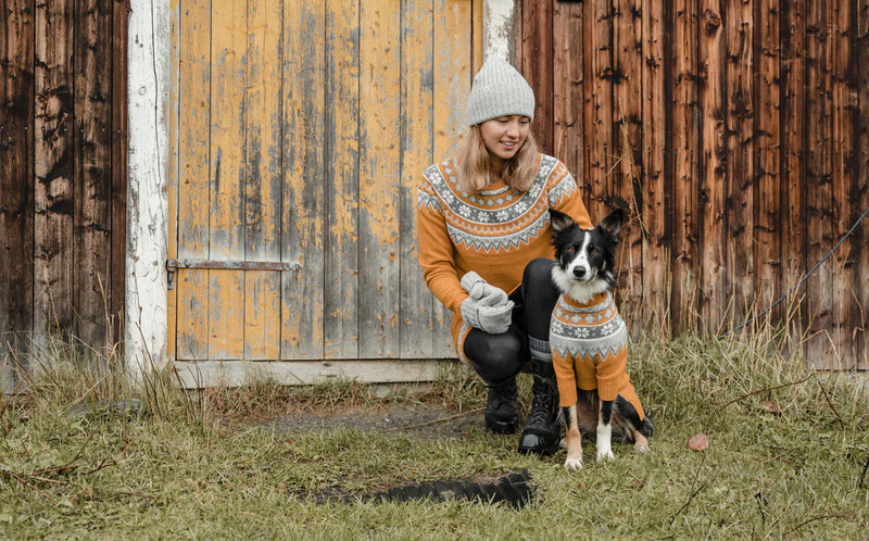 Load image into Gallery viewer, Skhoop Scandinavian Dog Coat - Gear West
