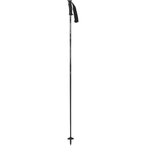 Swix Excalibur Ski Pole - Gear West