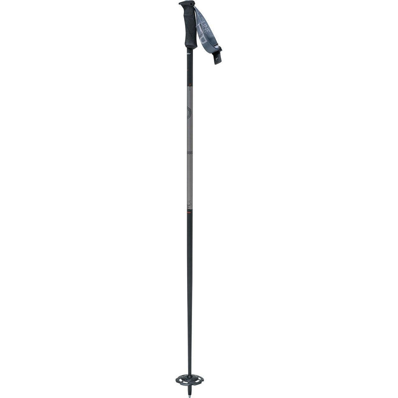 Load image into Gallery viewer, Swix Plus Line Ski Pole - Gear West
