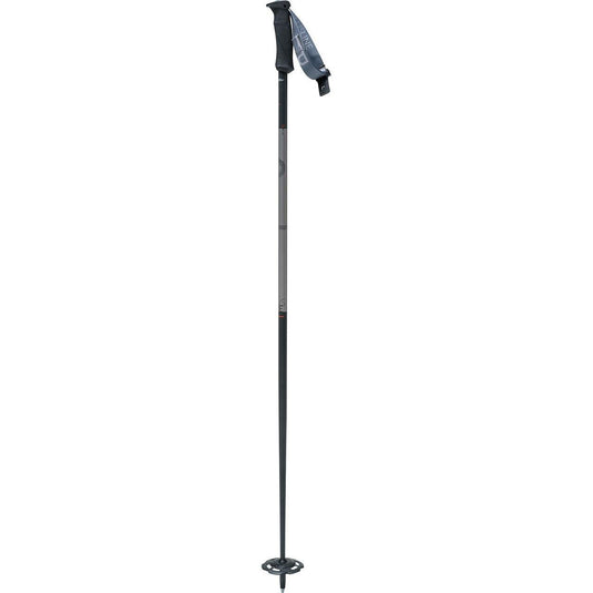 Swix Plus Line Ski Pole - Gear West