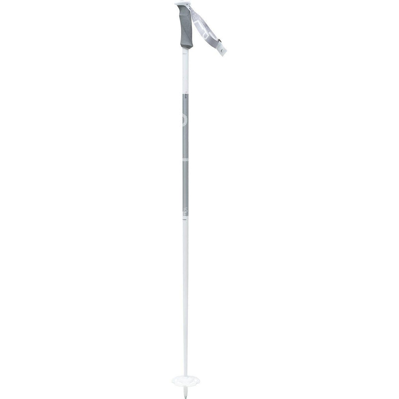 Load image into Gallery viewer, Swix Plus Line Ski Pole - Gear West
